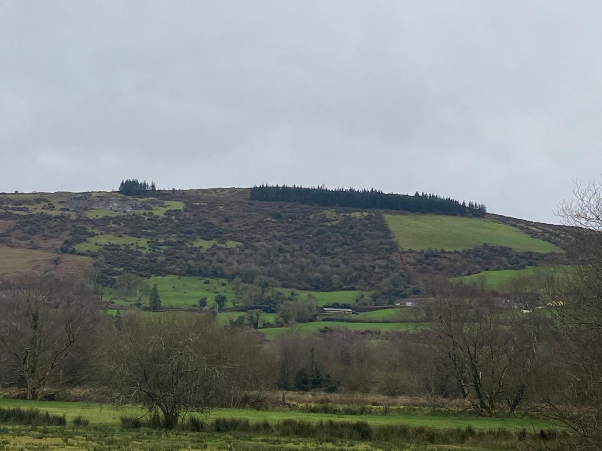 Broadford  Cosy Cottage Broadford מראה חיצוני תמונה