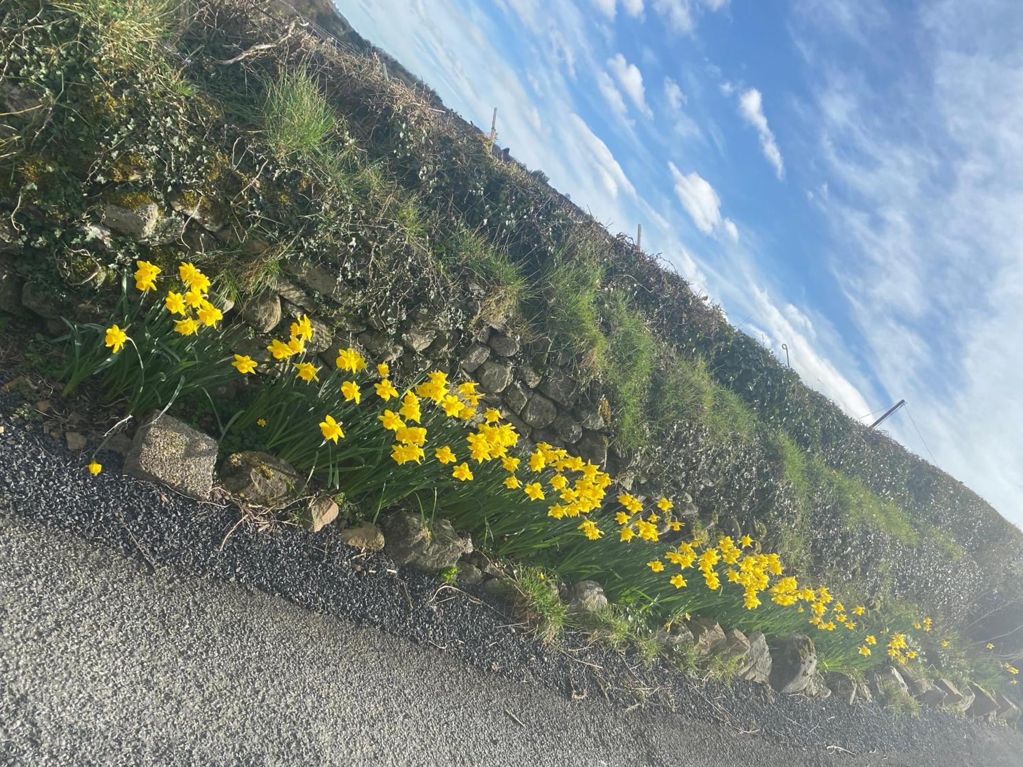Broadford  Cosy Cottage Broadford מראה חיצוני תמונה